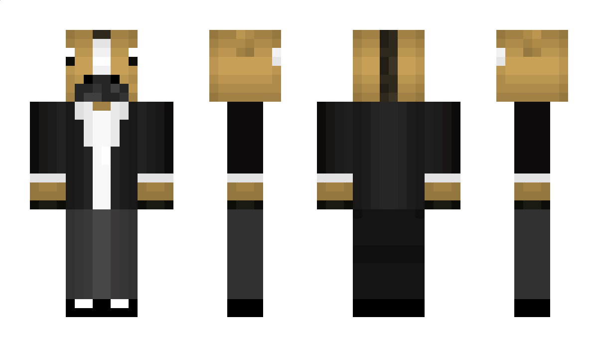 nite_last Minecraft Skin