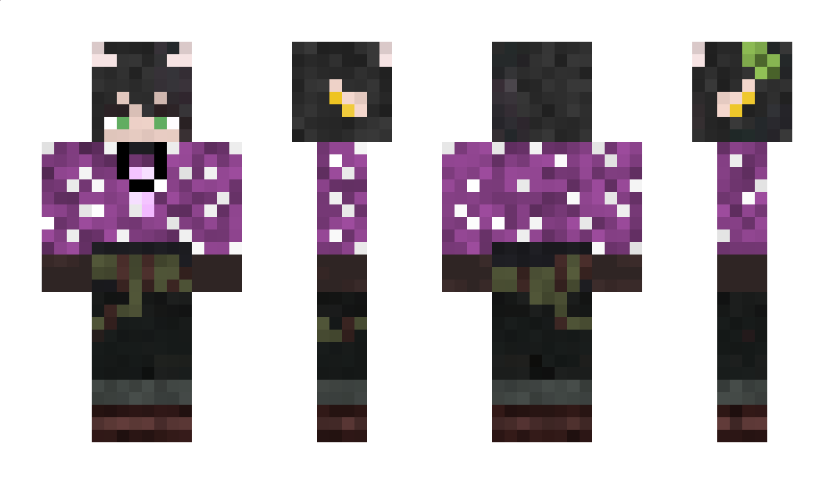 EmeraldCraft656 Minecraft Skin