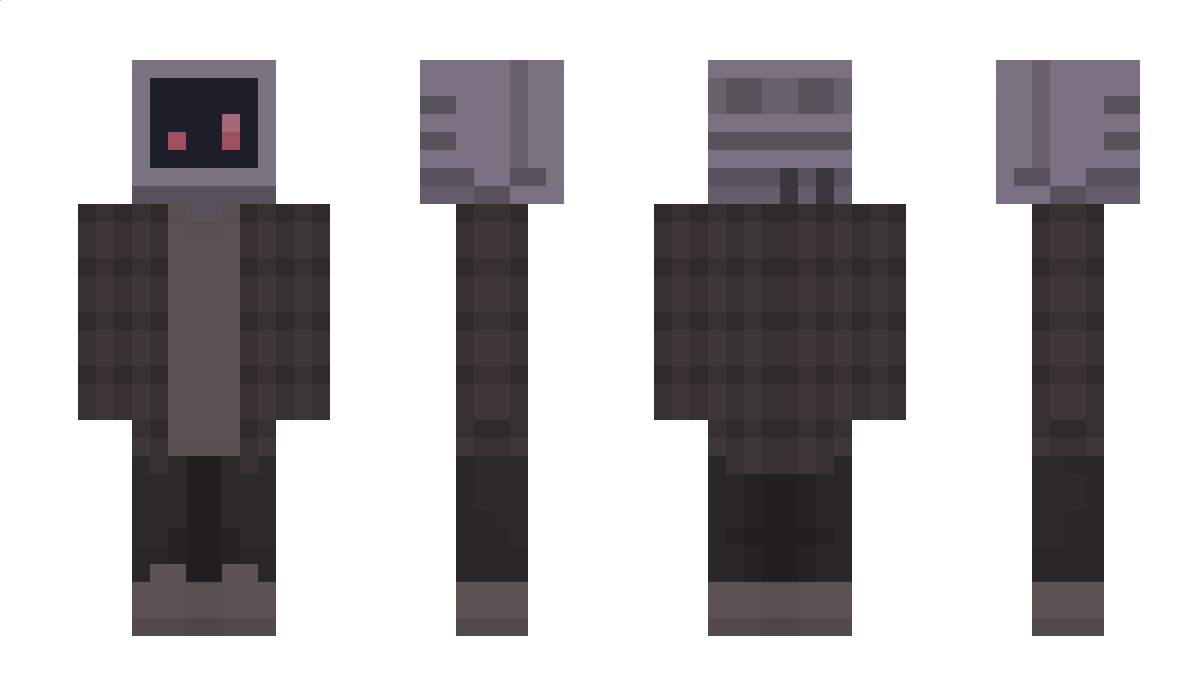 NitWitted Minecraft Skin