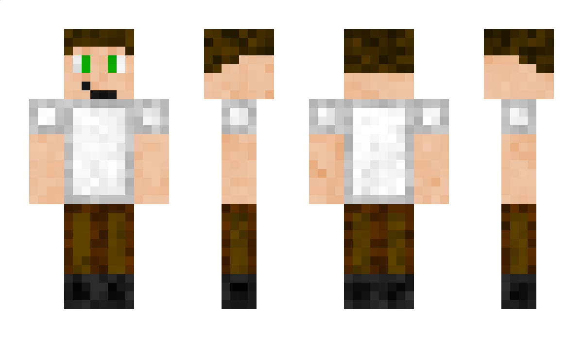 TatonBandit Minecraft Skin