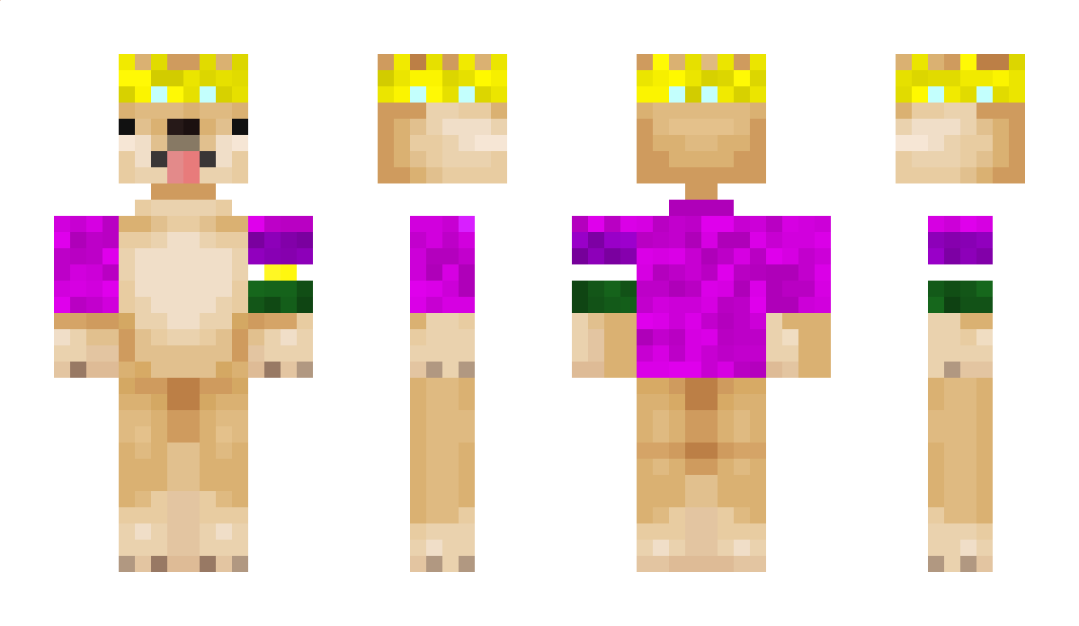 DogeKing4550 Minecraft Skin