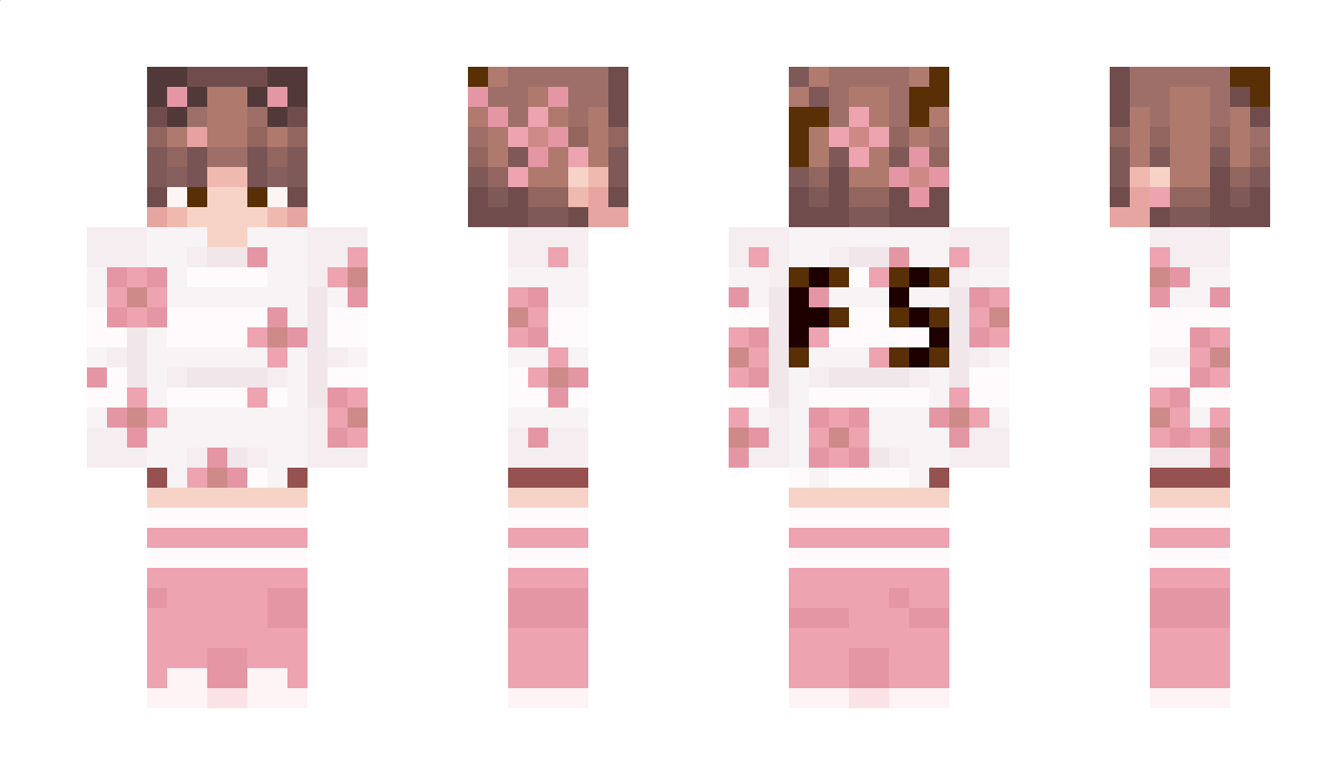 FlipSidex Minecraft Skin