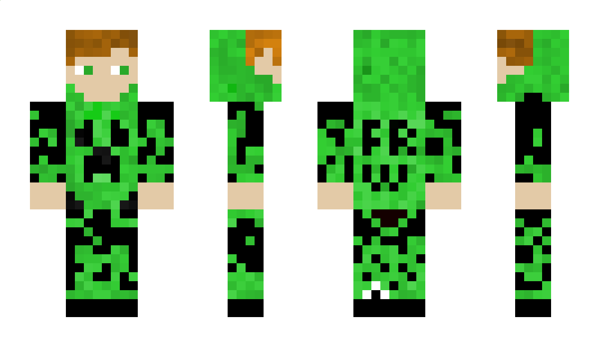 FreeRaven24 Minecraft Skin