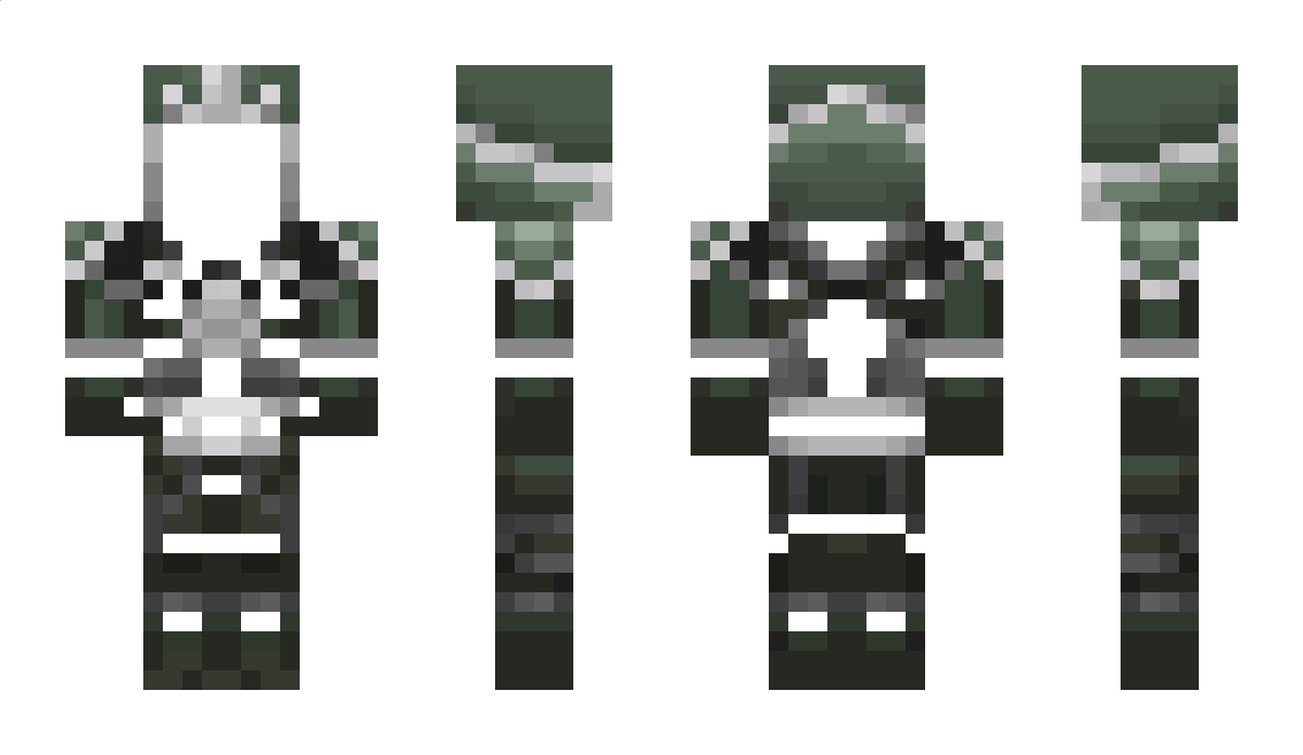 tesa Minecraft Skin