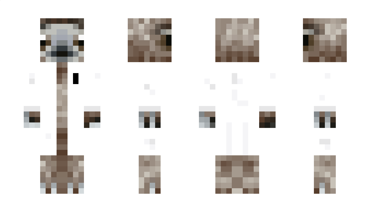 drpfauli Minecraft Skin