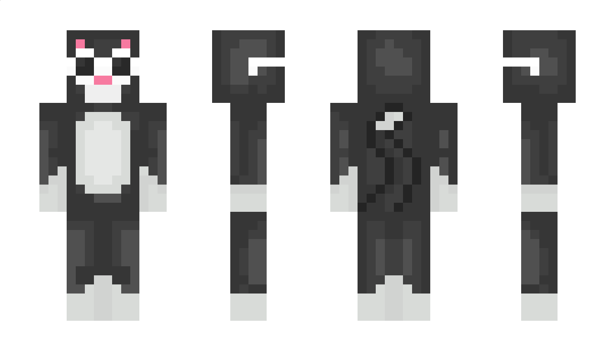 Muschi Minecraft Skin