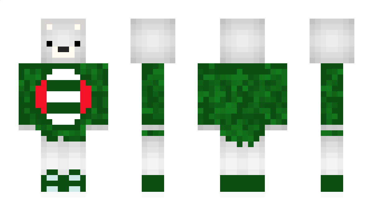 Mis_Polarny_6666 Minecraft Skin