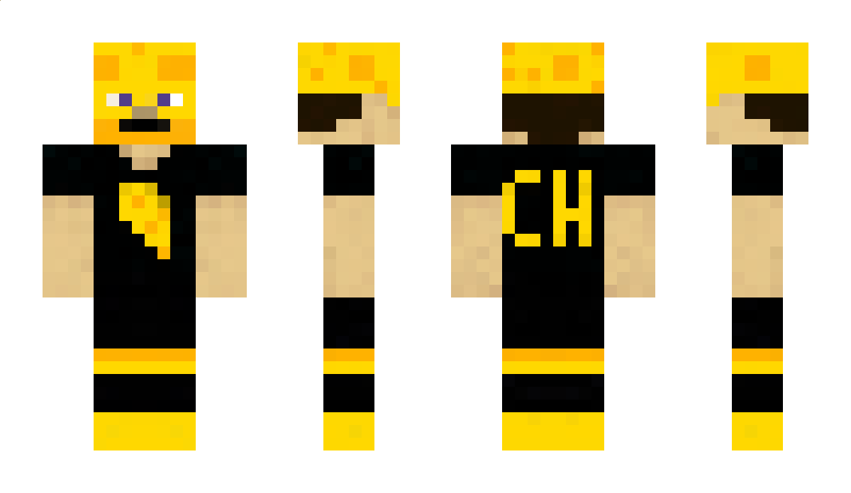 Cheesystudios Minecraft Skin