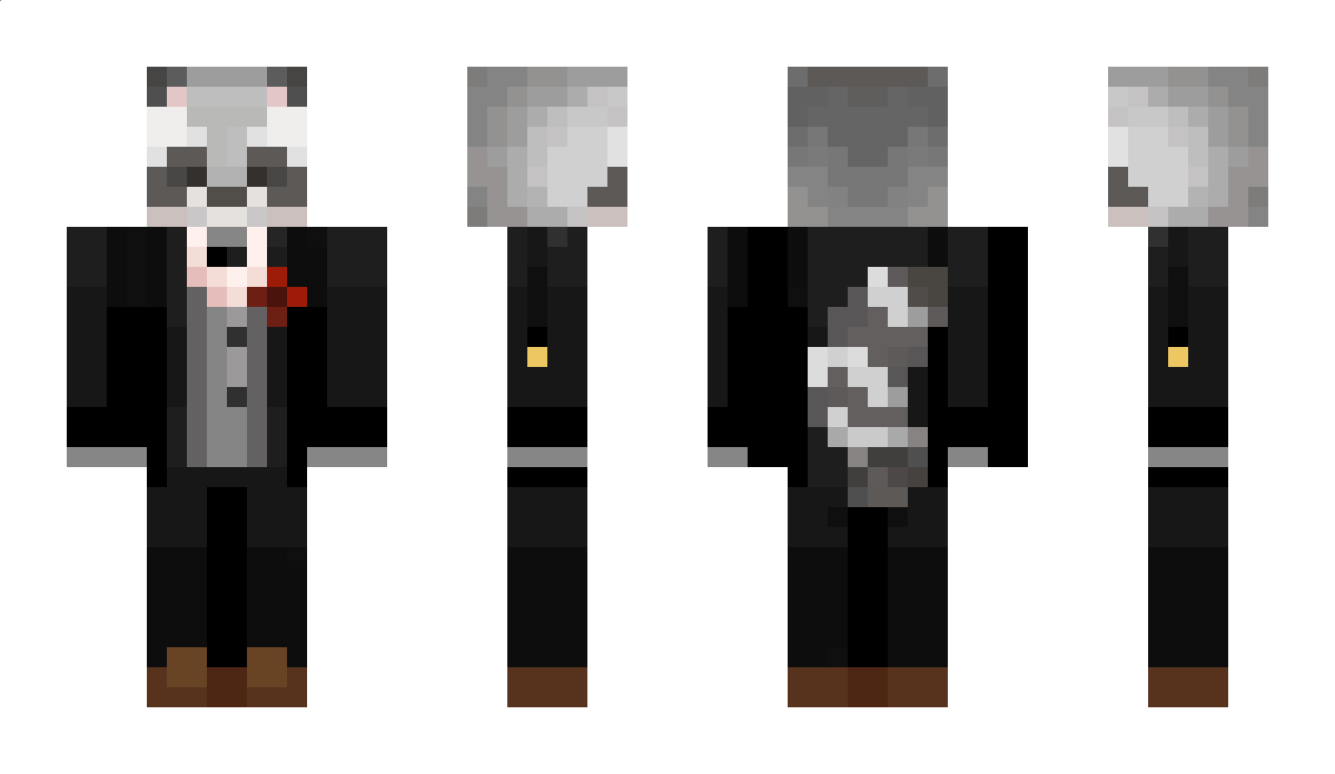 Raccoonist_ Minecraft Skin