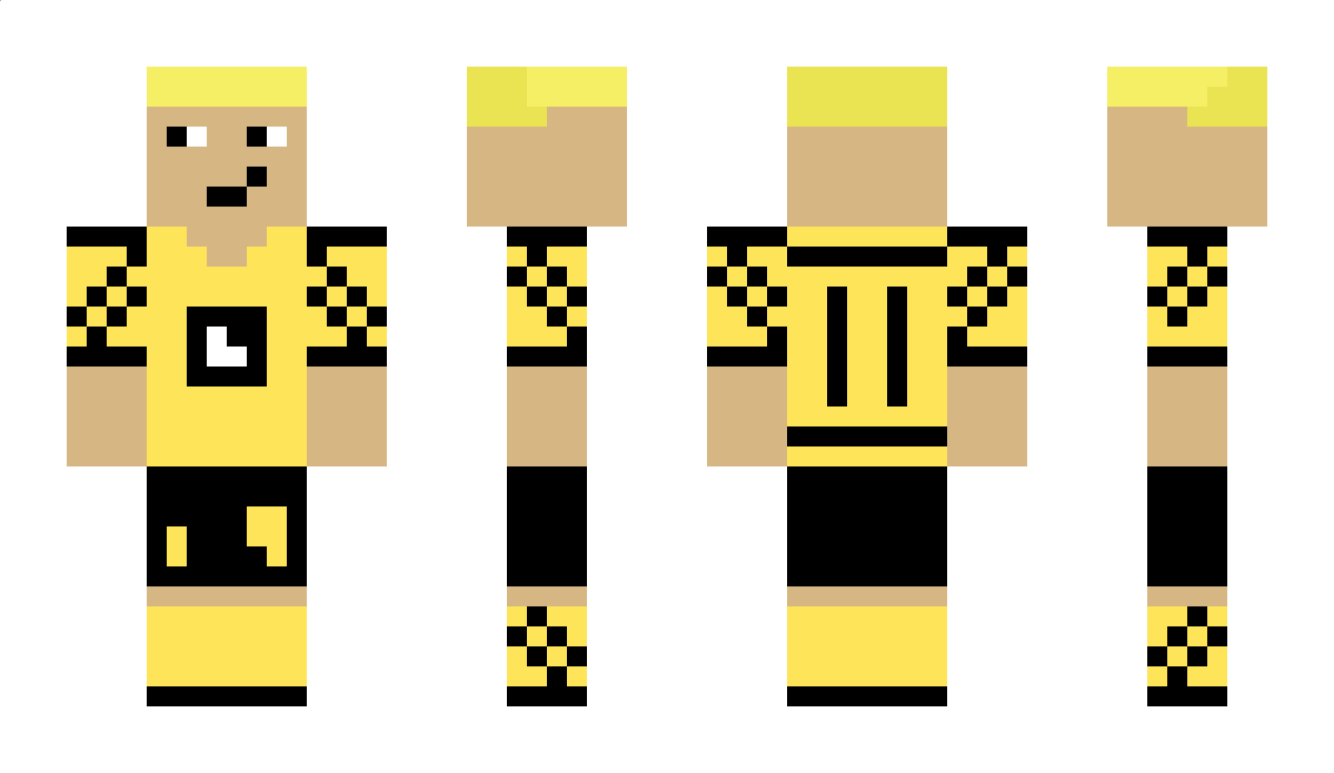 NikZed12 Minecraft Skin