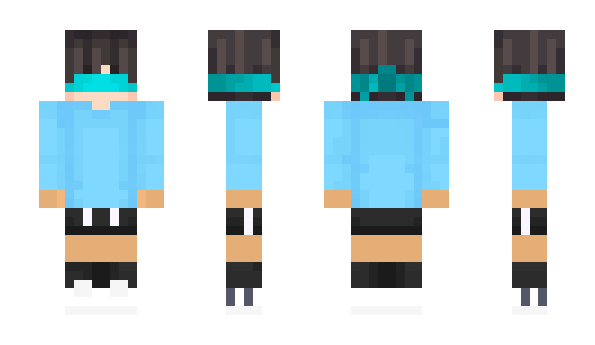 TicketOfficial Minecraft Skin