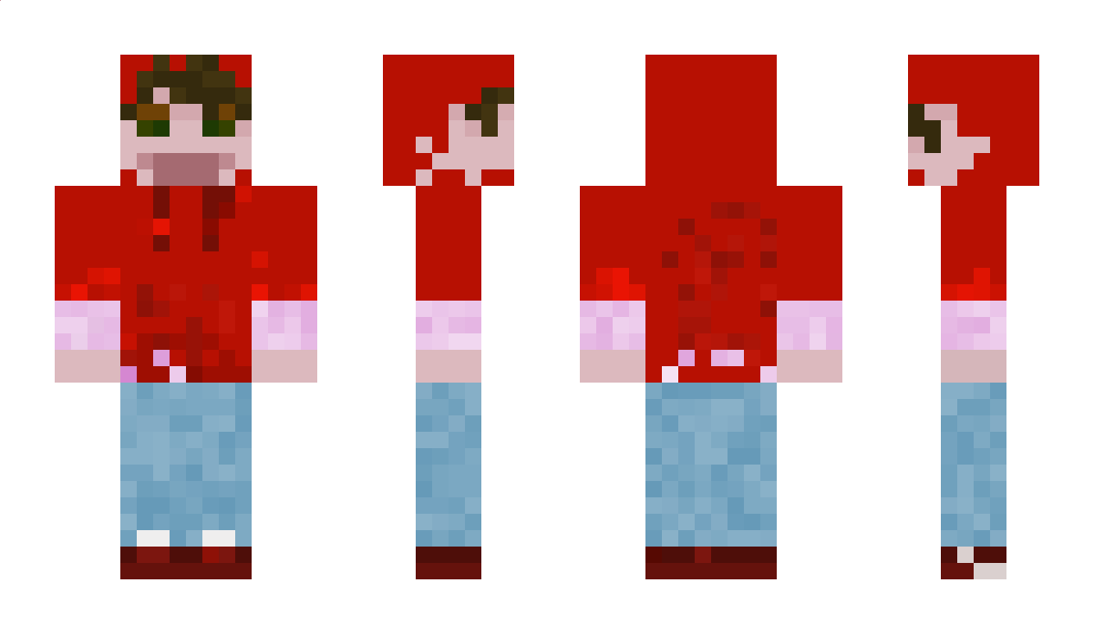 digisane Minecraft Skin