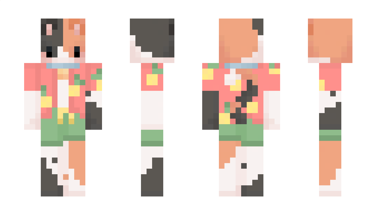 ProMathias62 Minecraft Skin