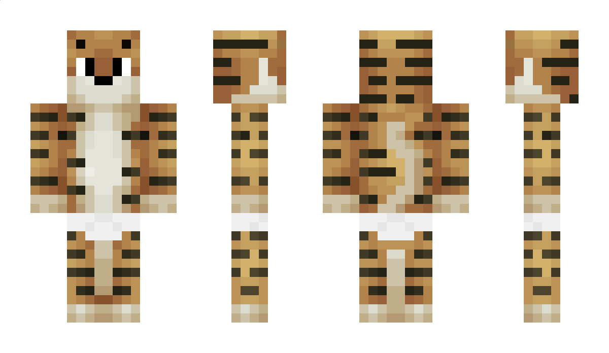 Flarey Minecraft Skin