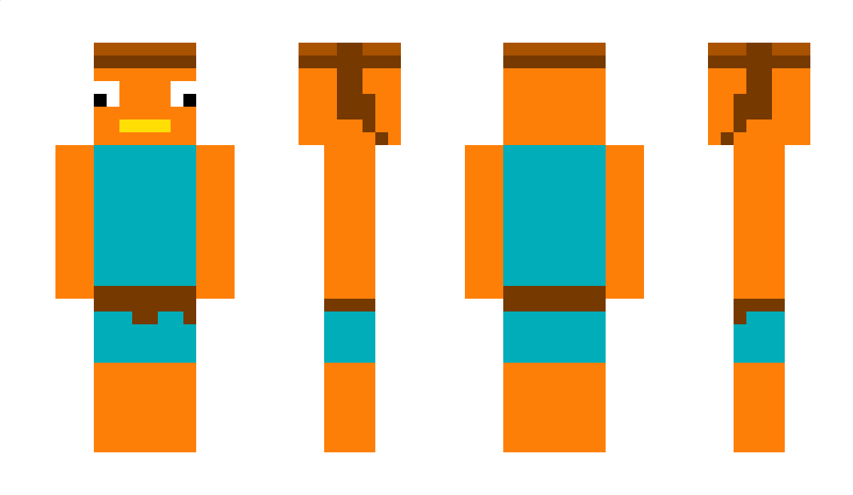 StormyplayZ Minecraft Skin