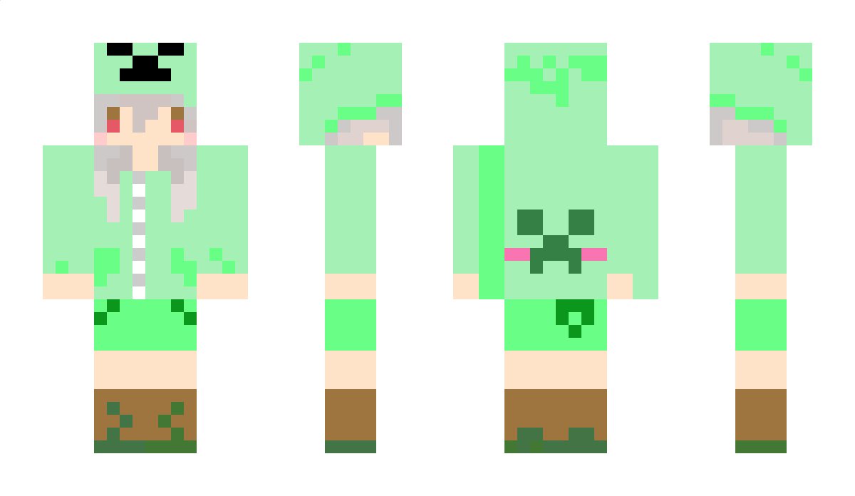 accs Minecraft Skin