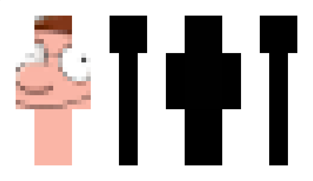 StellarrStella Minecraft Skin