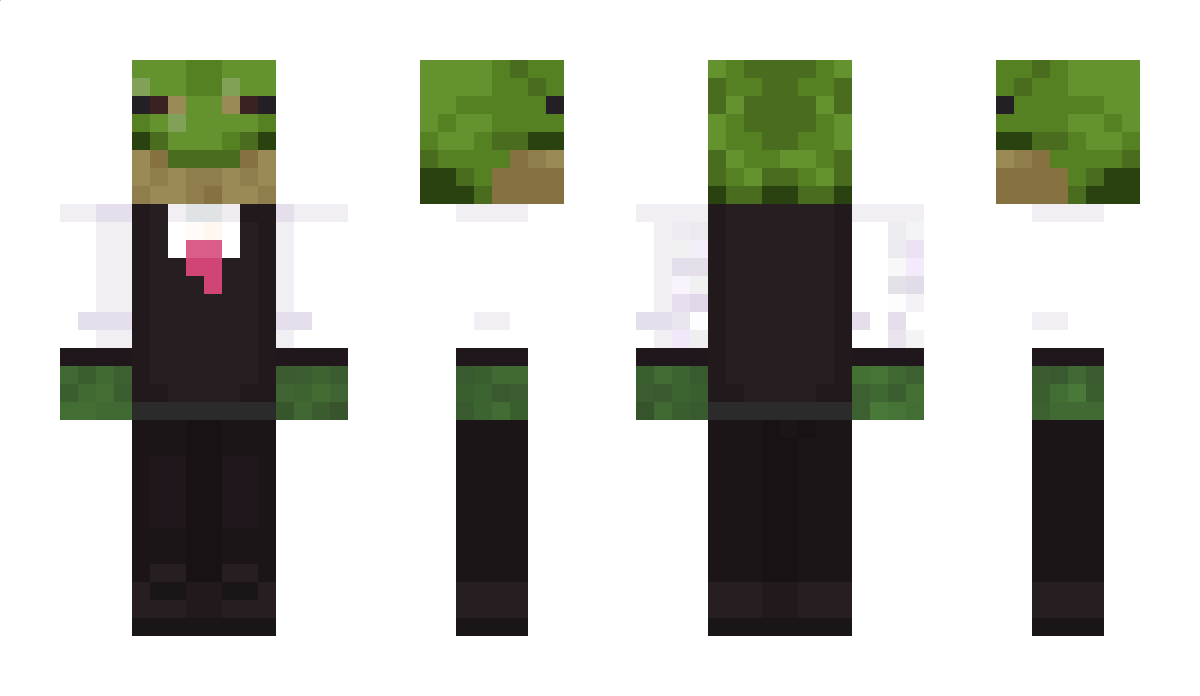 Riotfrog2400 Minecraft Skin