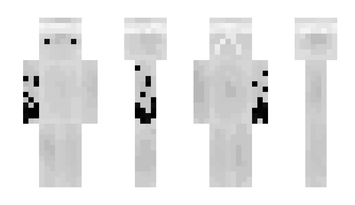 privaton Minecraft Skin