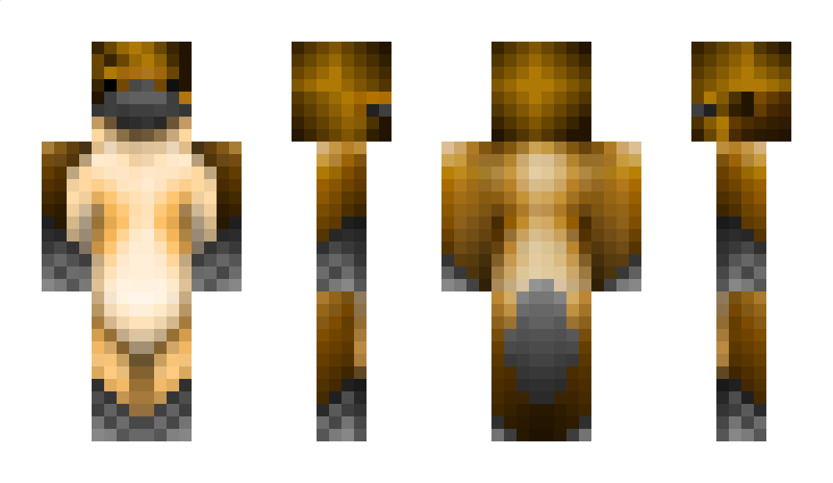 Pata Minecraft Skin