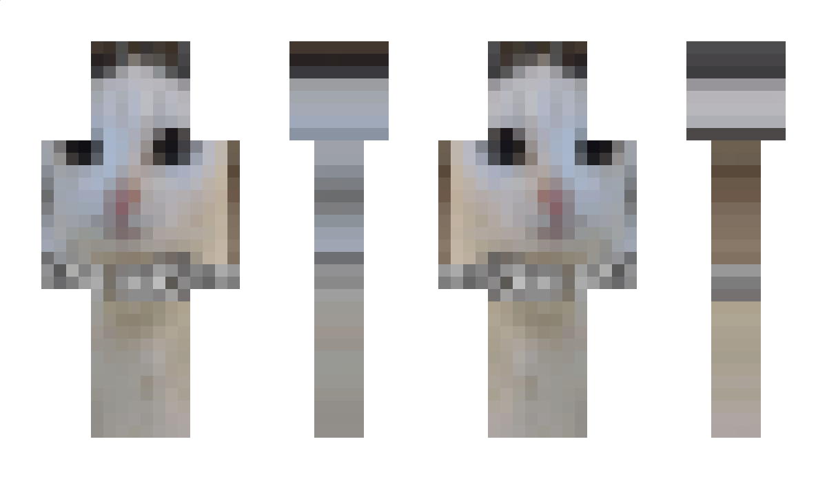 2007Gustav Minecraft Skin