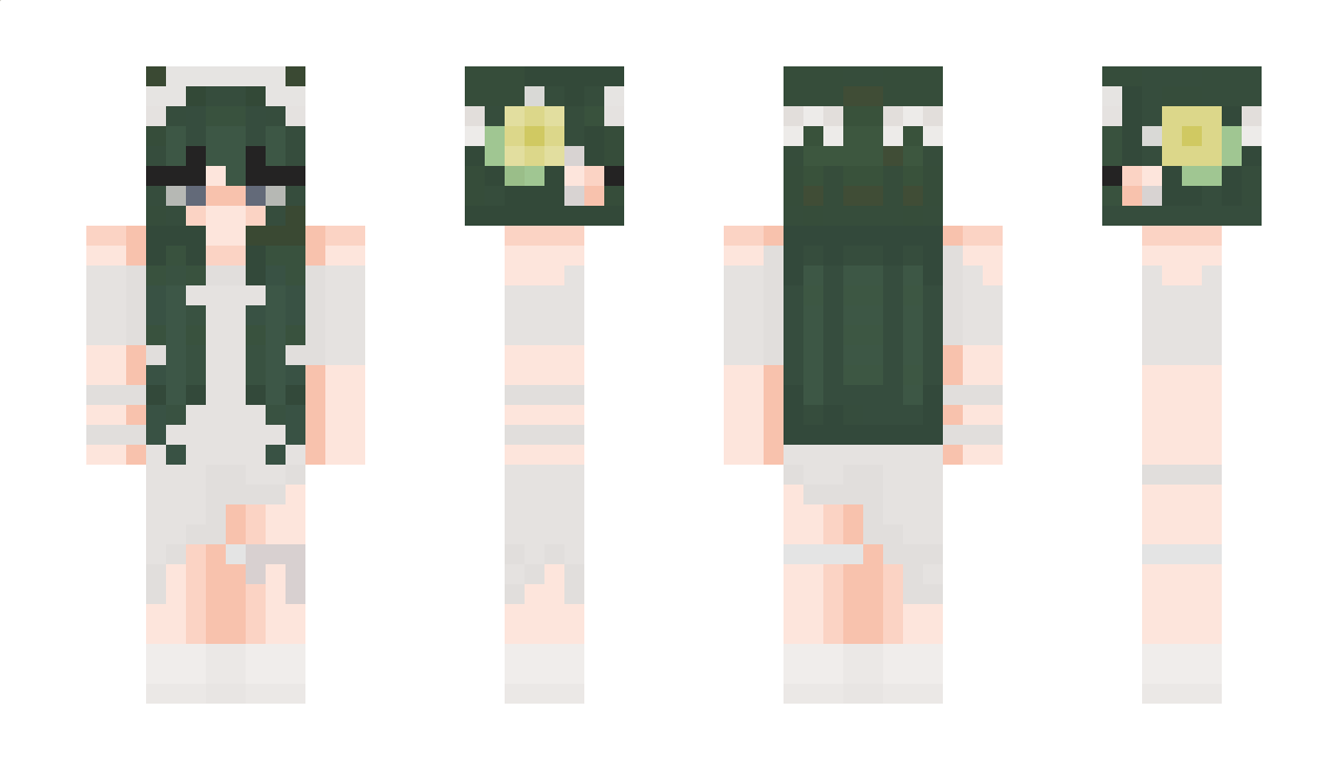 BrieCheese333 Minecraft Skin