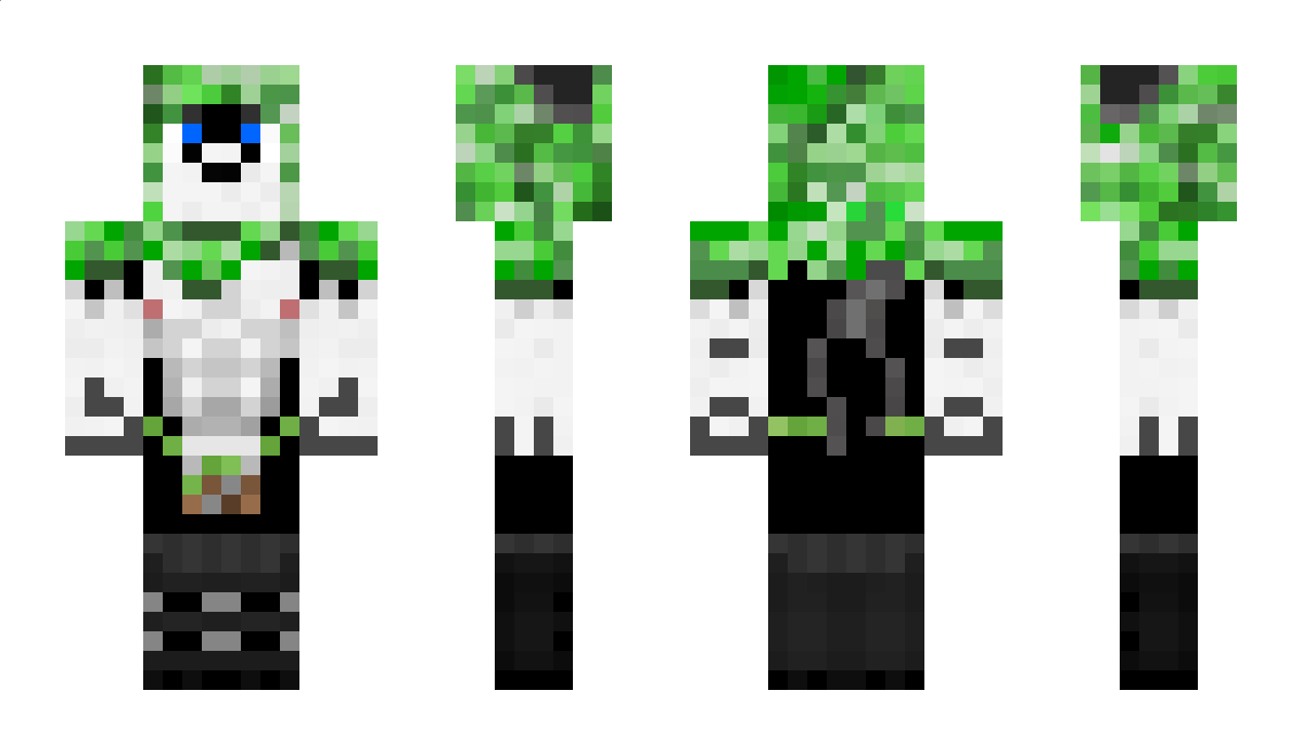 hrit Minecraft Skin