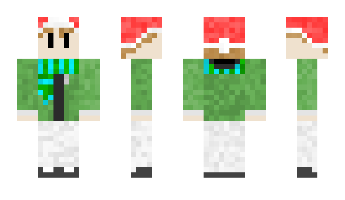 FroggyAdi Minecraft Skin