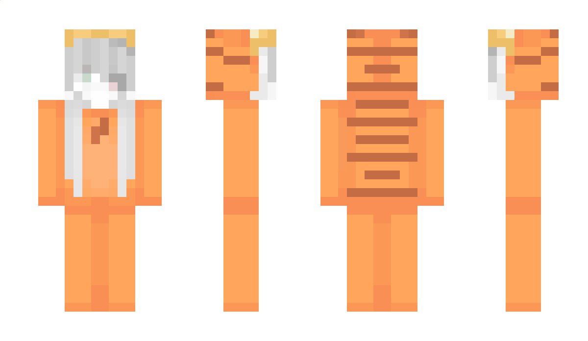 Ra20fi Minecraft Skin