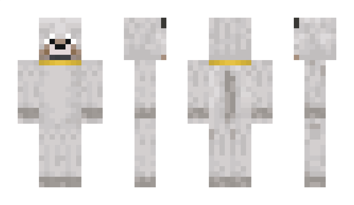 shampoo34265 Minecraft Skin