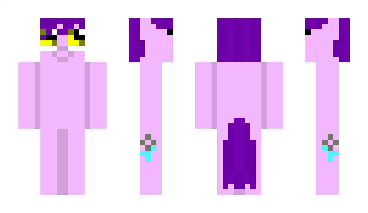 kitnoki Minecraft Skin