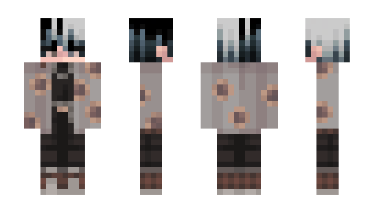 Riemanns_Sum Minecraft Skin