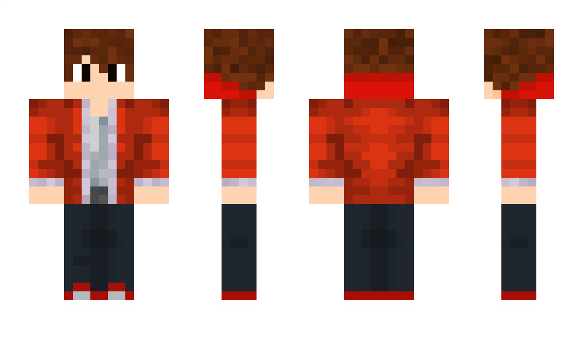 dmiplay Minecraft Skin