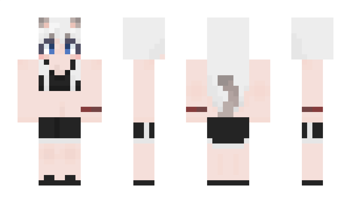 damgomsujin Minecraft Skin