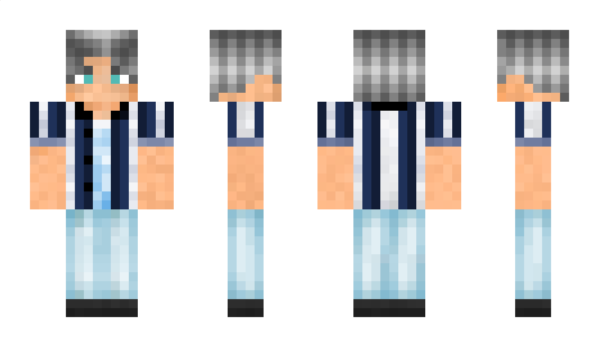 ditwit Minecraft Skin