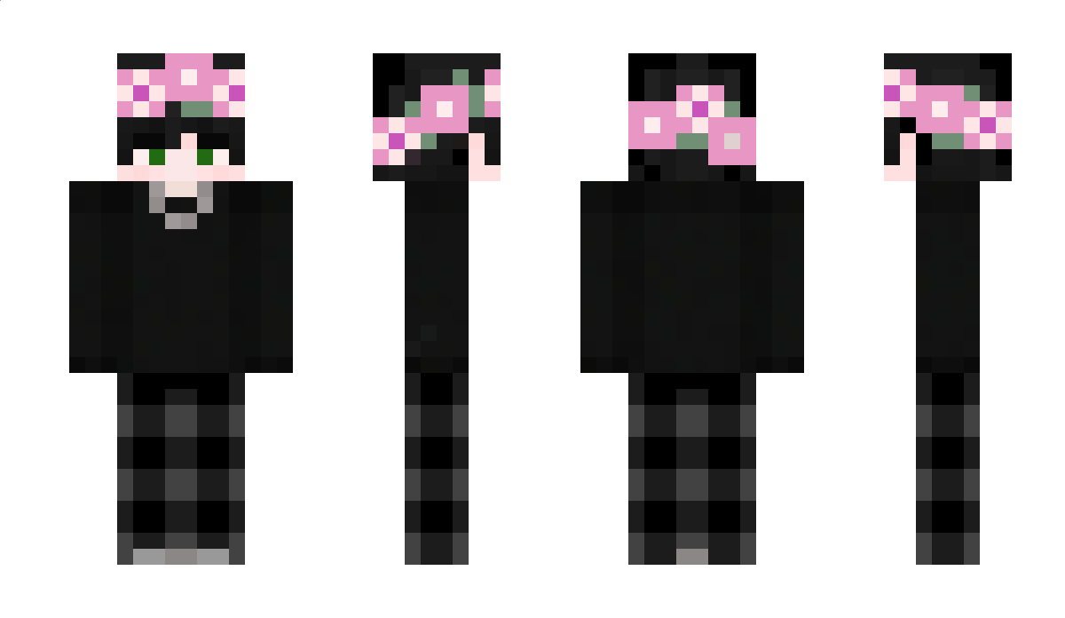 SM45654 Minecraft Skin