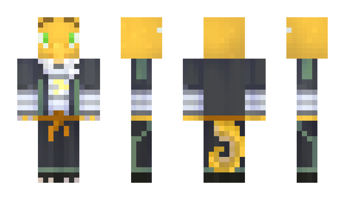 Dragon_Master311 Minecraft Skin