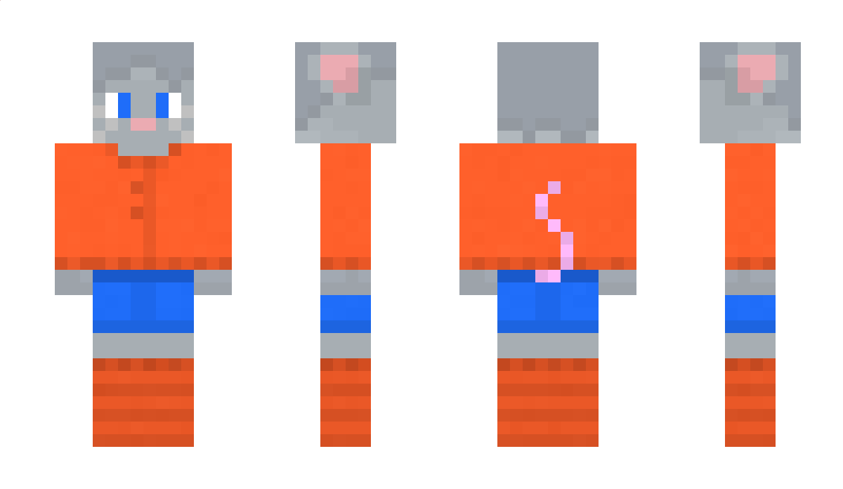 FinnyLearner05 Minecraft Skin