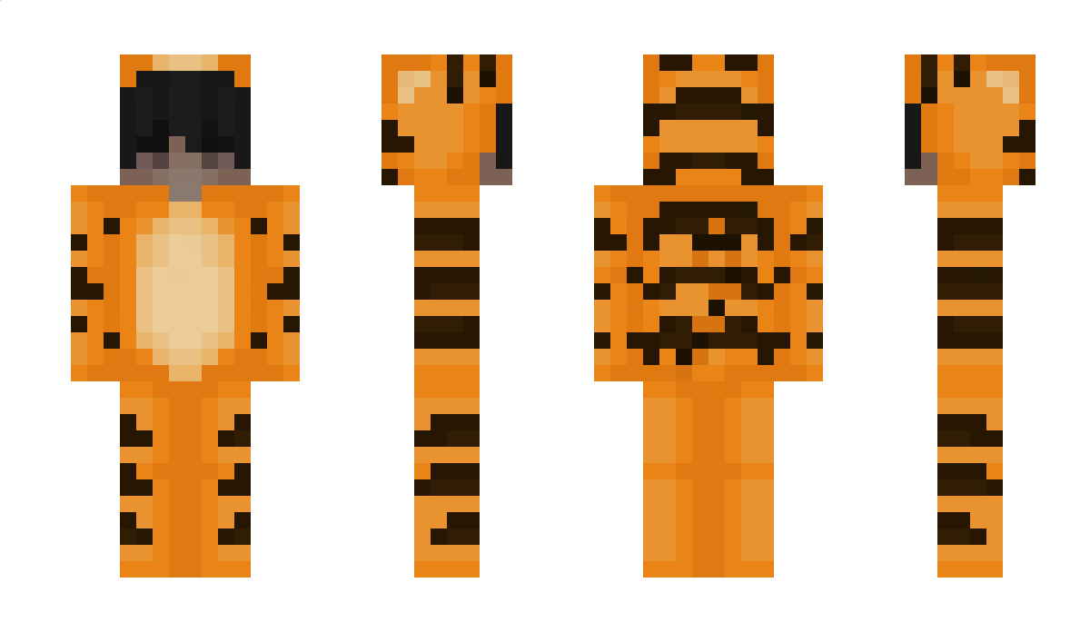 21pkt Minecraft Skin