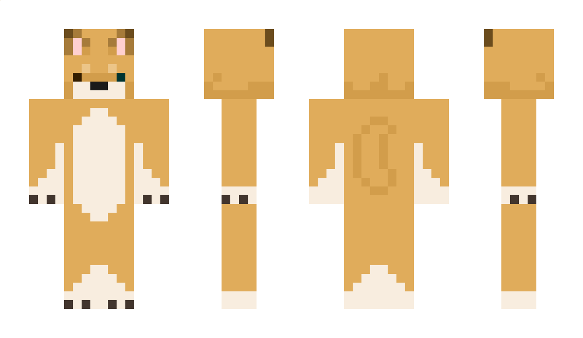 T4NVEER Minecraft Skin