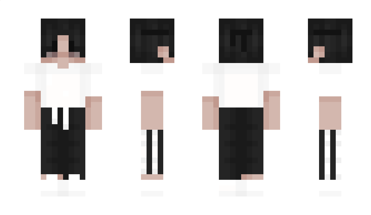 SWIIPO Minecraft Skin