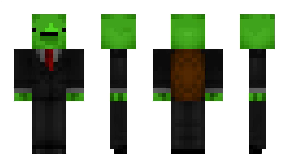 CarlTurtleYT Minecraft Skin