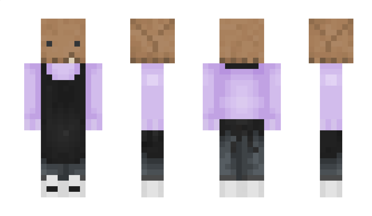 2Dbomb Minecraft Skin