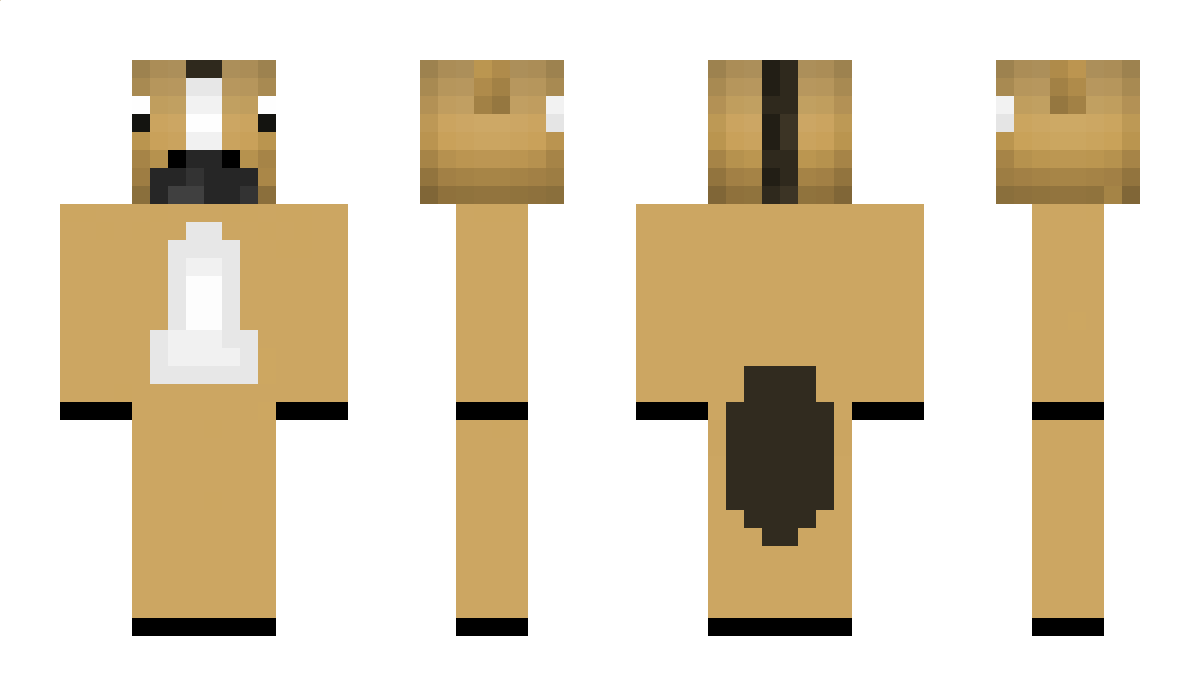 Skata Minecraft Skin