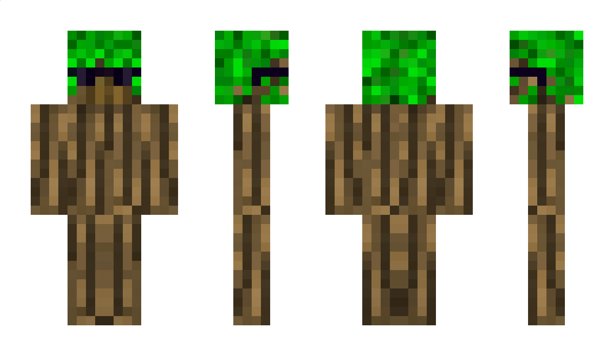 zag_22 Minecraft Skin