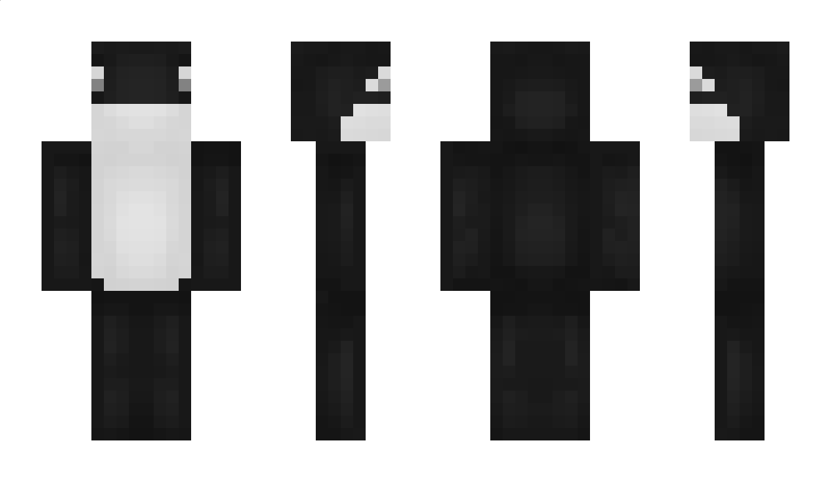 exv Minecraft Skin