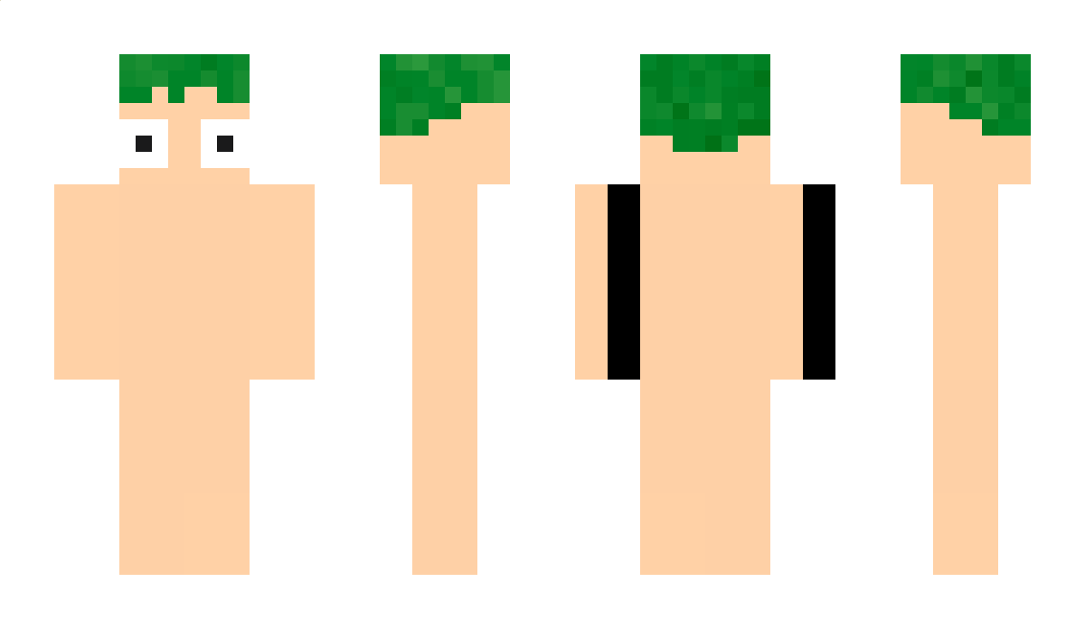 Erriic Minecraft Skin