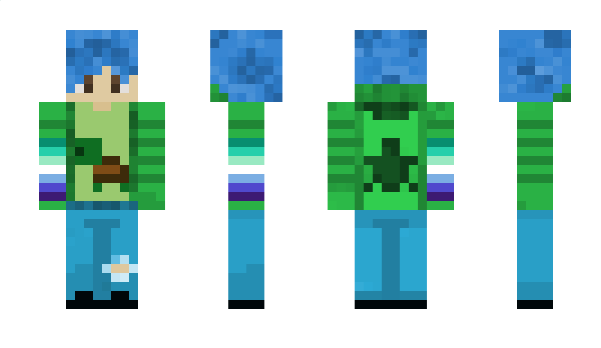 d00mturtle1 Minecraft Skin