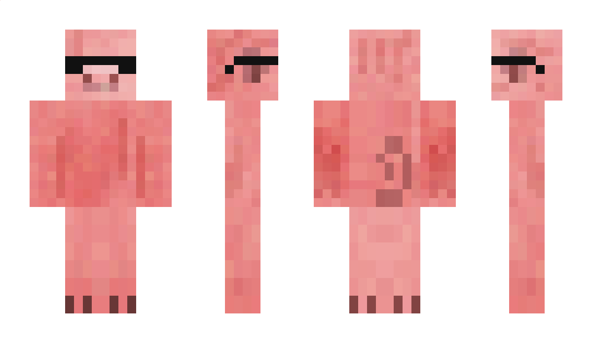 Gusiecowaty Minecraft Skin