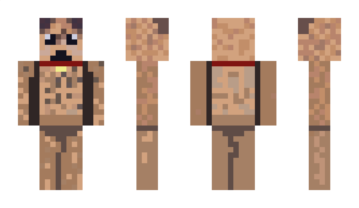 IceWyte Minecraft Skin